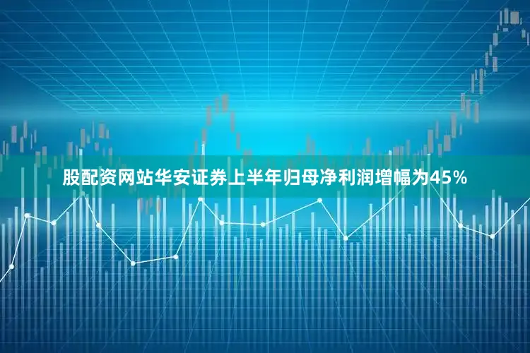 股配资网站华安证券上半年归母净利润增幅为45%