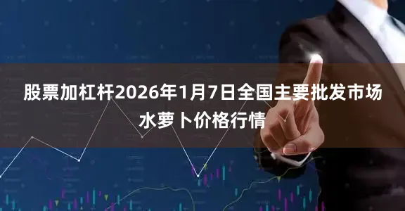 股票加杠杆2026年1月7日全国主要批发市场水萝卜价格行情