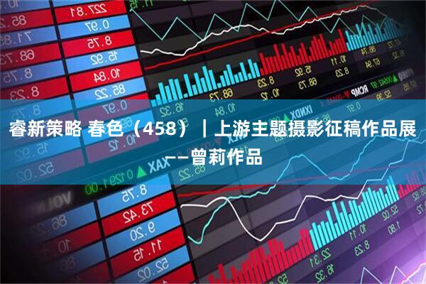 睿新策略 春色（458）｜上游主题摄影征稿作品展——曾莉作品