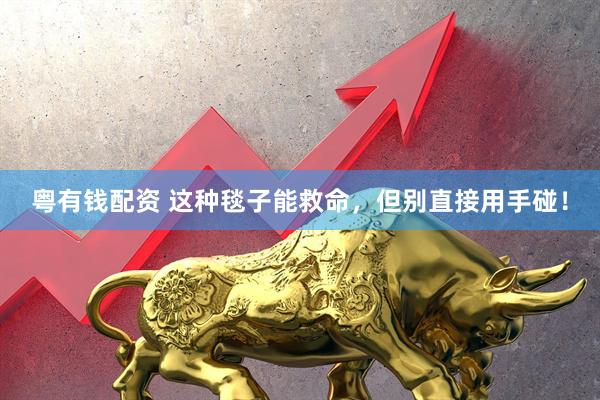 粤有钱配资 这种毯子能救命，但别直接用手碰！