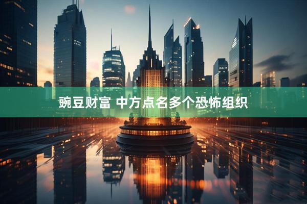 豌豆财富 中方点名多个恐怖组织