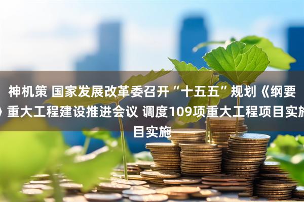 神机策 国家发展改革委召开“十五五”规划《纲要》重大工程建设推进会议 调度109项重大工程项目实施